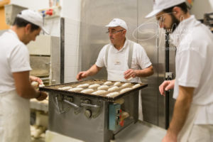 ingredienti panificio distefano